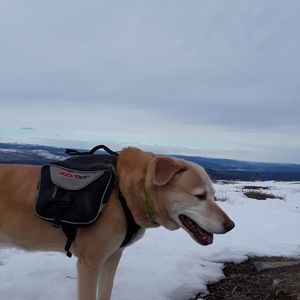 Meet your Posher, Mirabel